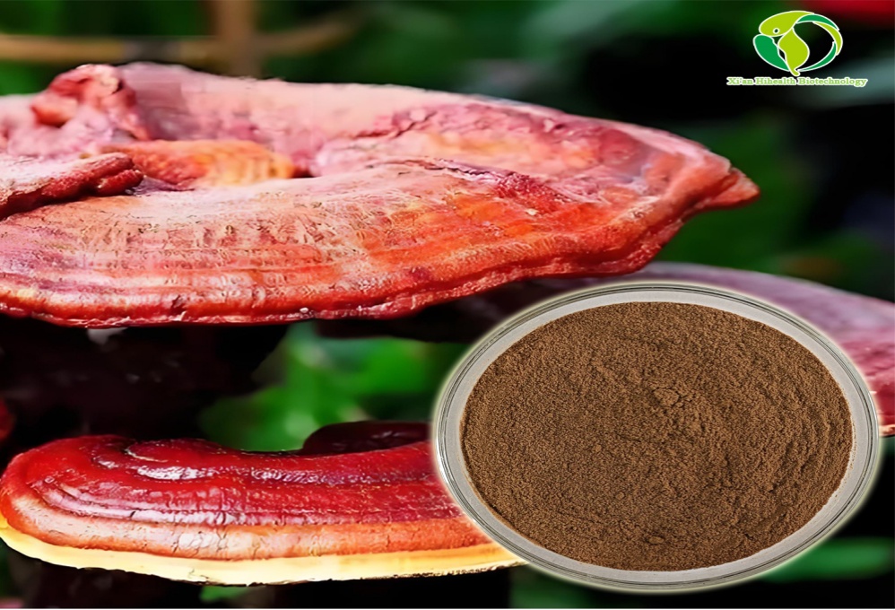 Reishi Mushroom Extract shows new potential in the fields of anti-tumor and immune regulation