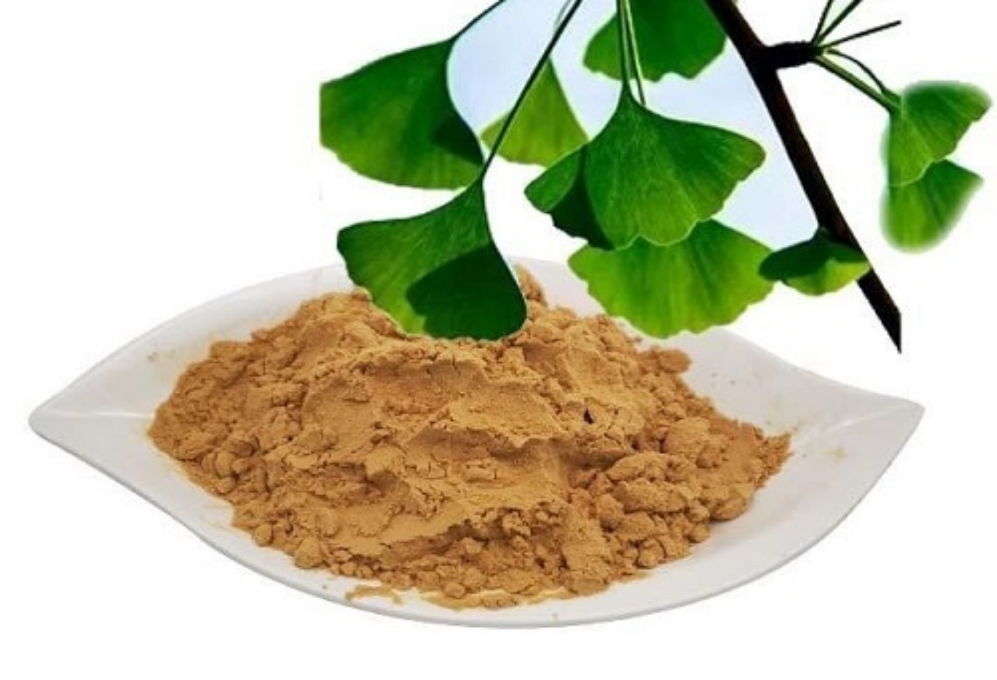 Ginkgo biloba extract may bring new hope for the treatment of neurodegenerative disease