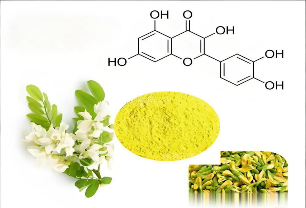 Quercetin takes advantage of the trend: a new favorite in the global health market with unlimited potential!