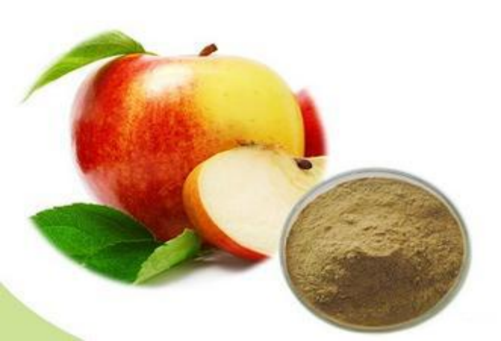 Anti cancer effect of apple peel extract on human breast cancer cells through IGF-1R signal transduction pathway
