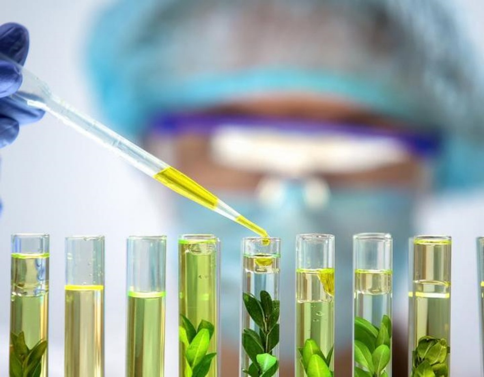 Several Plant Extracts with High Potential for Future Market Applications