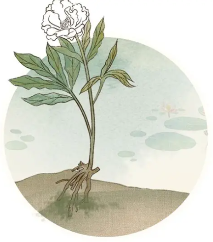 屏幕截图 2026-04-28 110048.png