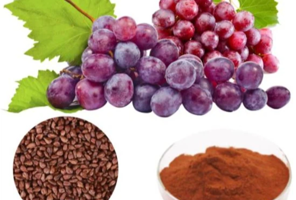 Grape Seed Extract: Nature's Gift for Staying Young