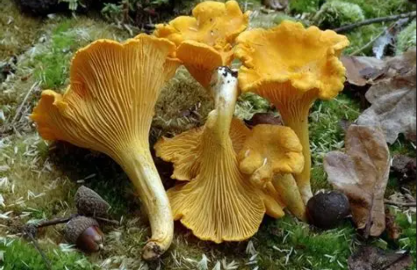 屏幕截图 2026-05-14 112309.png