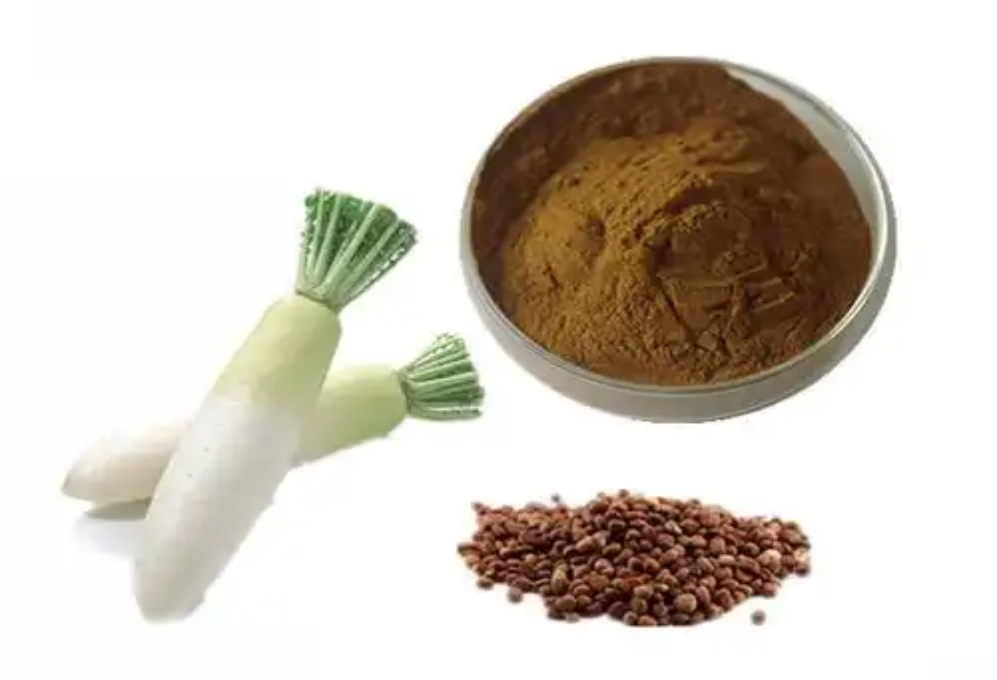 Farewell to Severe Cramps: Radish Seed Extract Leads a New Era of Gentle Detoxification