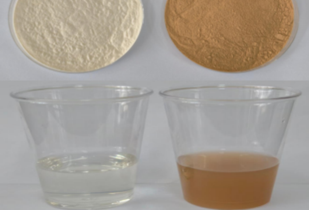 What Is White Mulberry Leaf Extract?