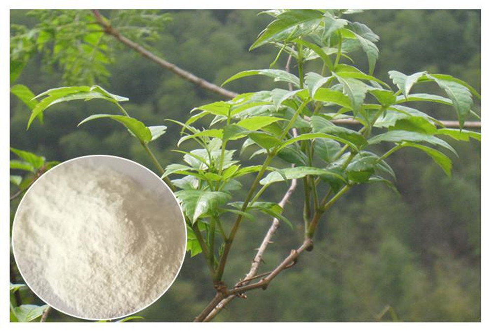 Meet Us at Hi Japan 2026 – Discover Innovative Water-Soluble Plant Extract Solutions