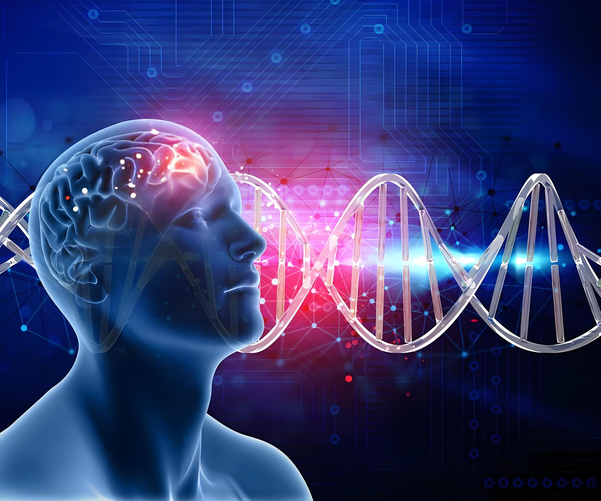 PQQ For Brain Health.jpg