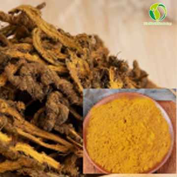 Coptis Chinensis Extract Berberine