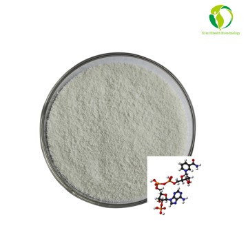 High quality 99% Powder Pure NADH powder CAS 606-68-8