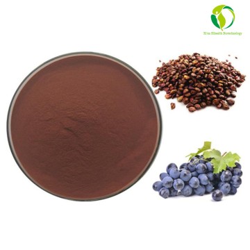 Manufacturer Directly Supply Grape Seed Extract Procyanidins Powder