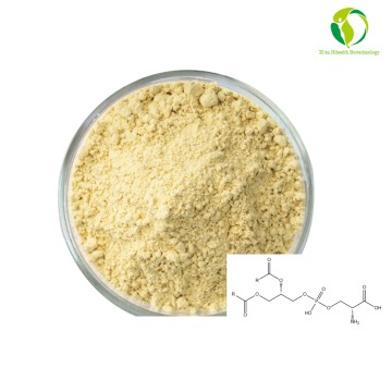 Factory Supply Natural Organic Ingredient 75% 99% Phosphatidylserine(PS) Powder