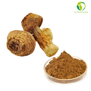 Agaricus Blazei Murill Extract