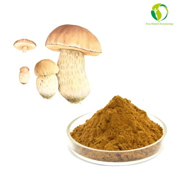 Boletus Edulis Mushroom Extract