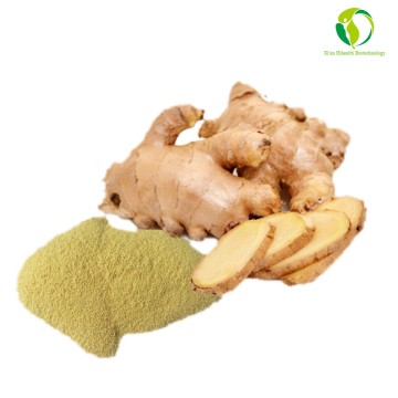 Organic Ginger Extract Factory Supply Nano Particles Gingerols-298