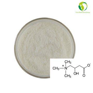 Factory Supply High Quality Pure L-Carnitine Powder