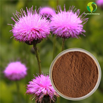 Factory Direct Supply Milk Thistle Extract-Silybin