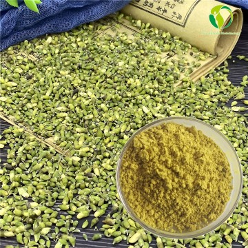 Sophora japonica flower extract (Quercetin and Rutin)