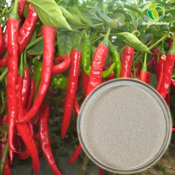Hot Selling Top Quality Capsicum Extract-Capsaicine Powder