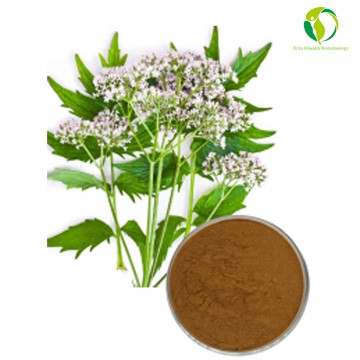 Hot Selling Pure Valerian Extract-Valeric Acid Powder