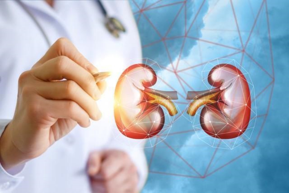 chronic kidney disease.jpg