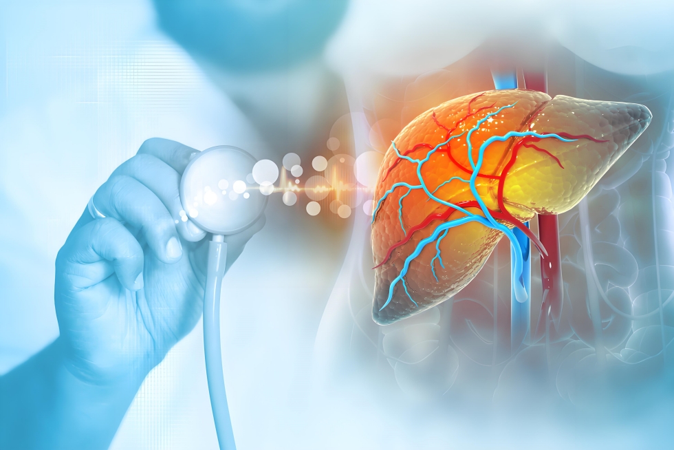 Damage to liver and kidney function.jpg