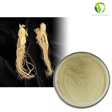 Manufacturer Supply Organic Ginseng Extract-Ginsenosides