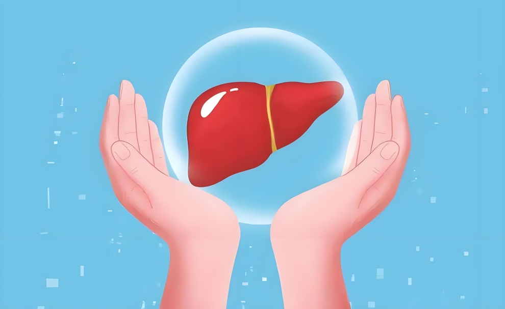 Liver Protection.jpg
