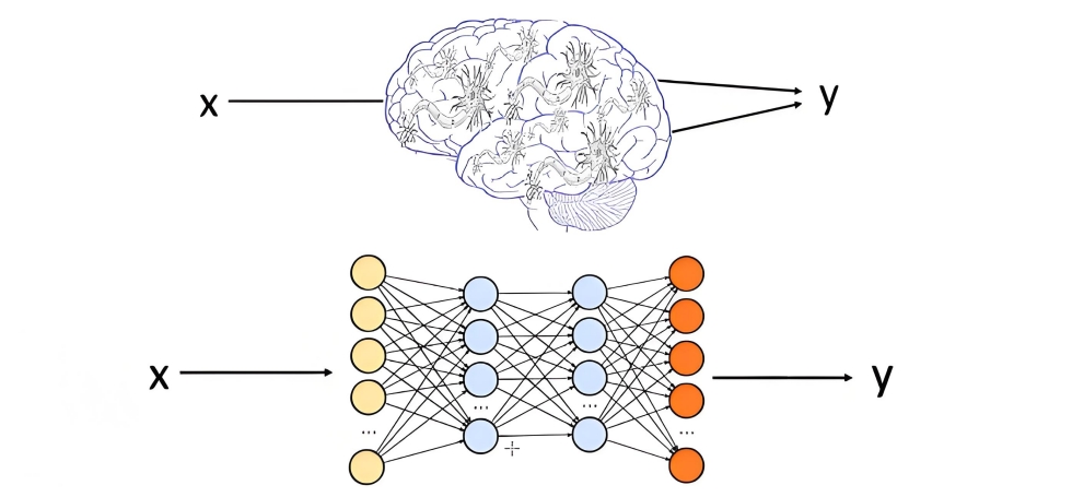 network model.jpg
