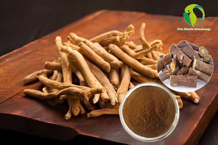 Ashwagandha南非醉茄.jpg