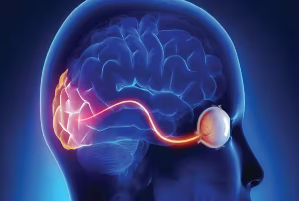 How much do lutein and zeaxanthin really do for eye and vision health?
