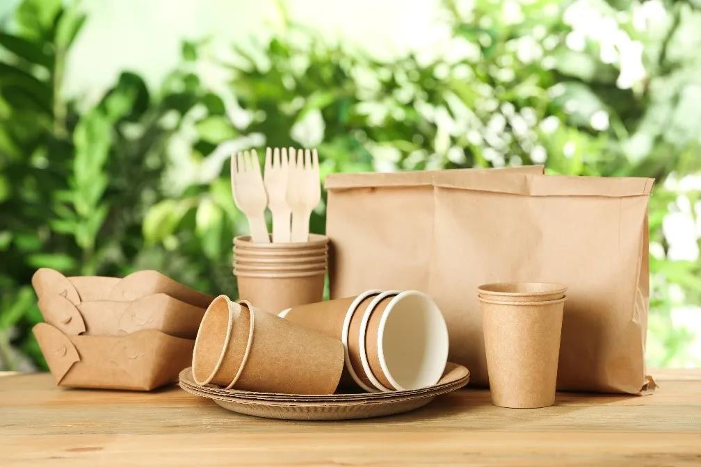 Principles and Applications of Plastic-Free Coated Paper03
