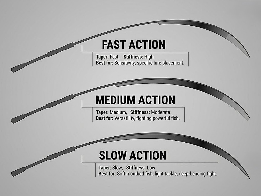 fishing-rod-action-fast-medium-slow.jpg