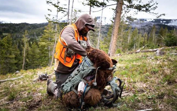 Outdoor Helper-Hunting/Fishing/Tactical/Archery Backpack