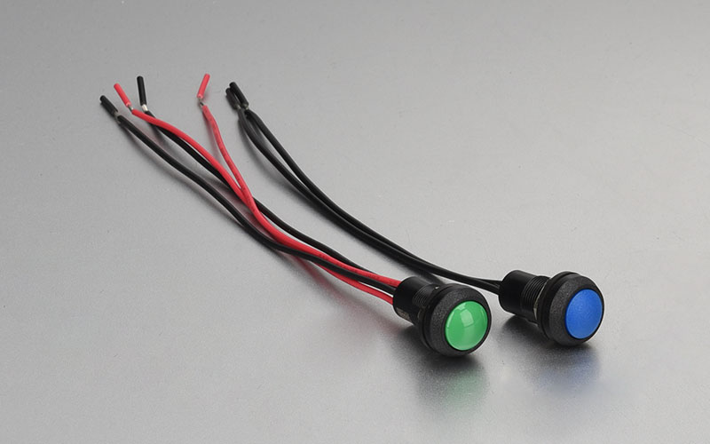 Customized Push Button Switch (2)
