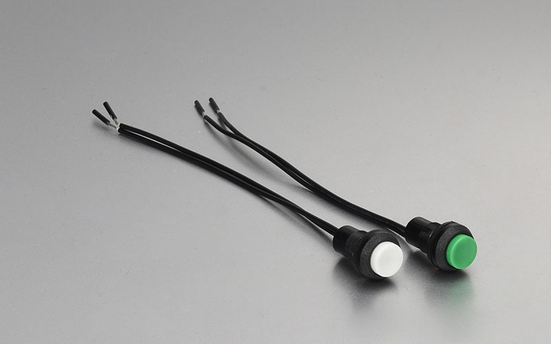 Customized Push Button Switch (3)