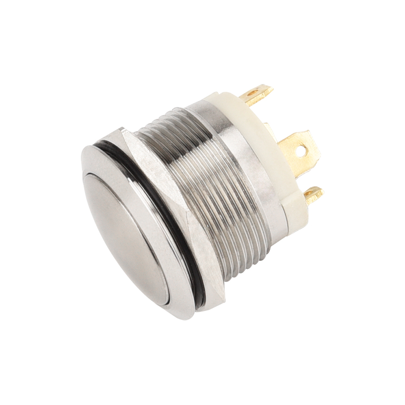 Illuminated Push Button Switch (4)