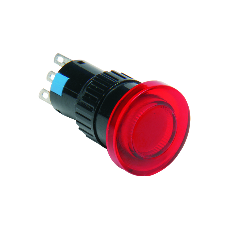 Plastic Button Switch (1)