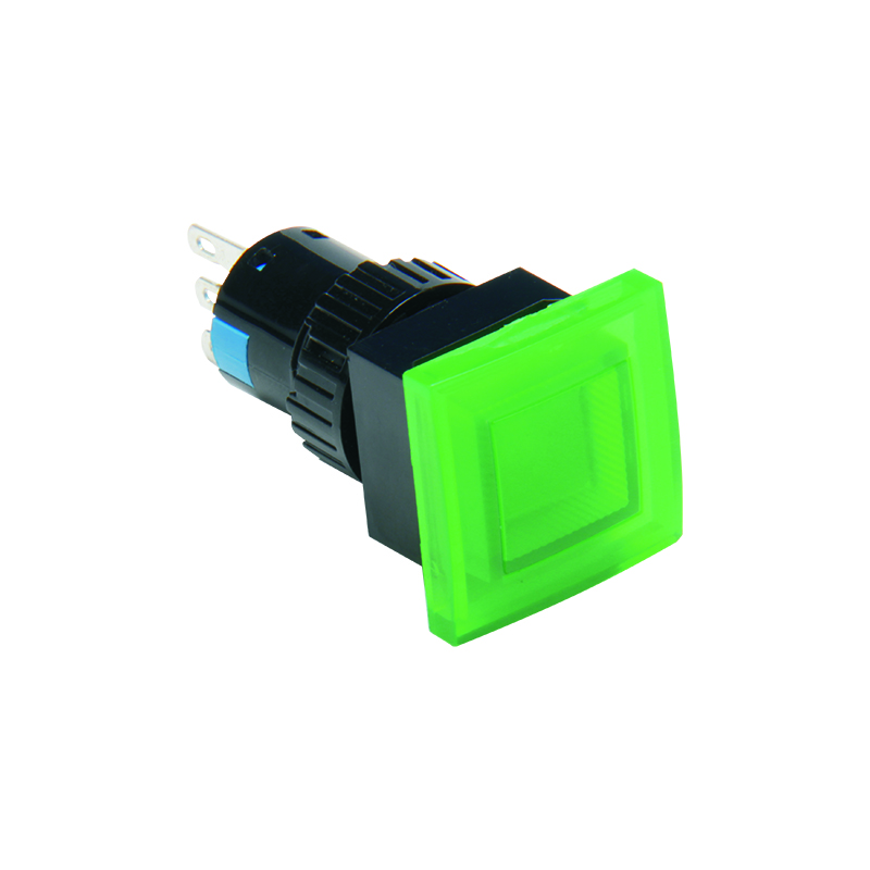 Plastic Button Switch (2)