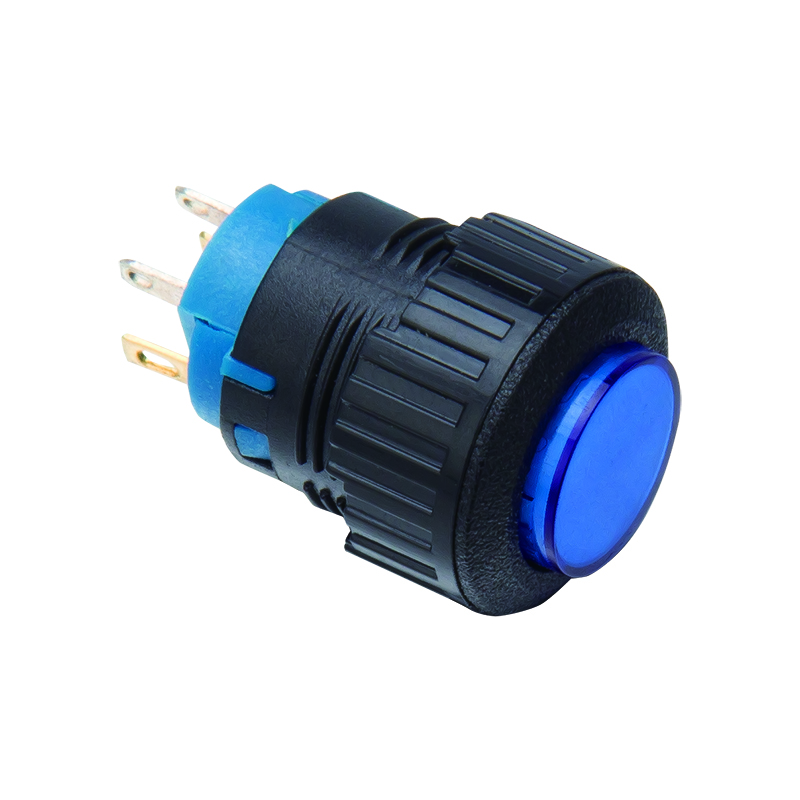 Plastic Pushbutton Switches (1)