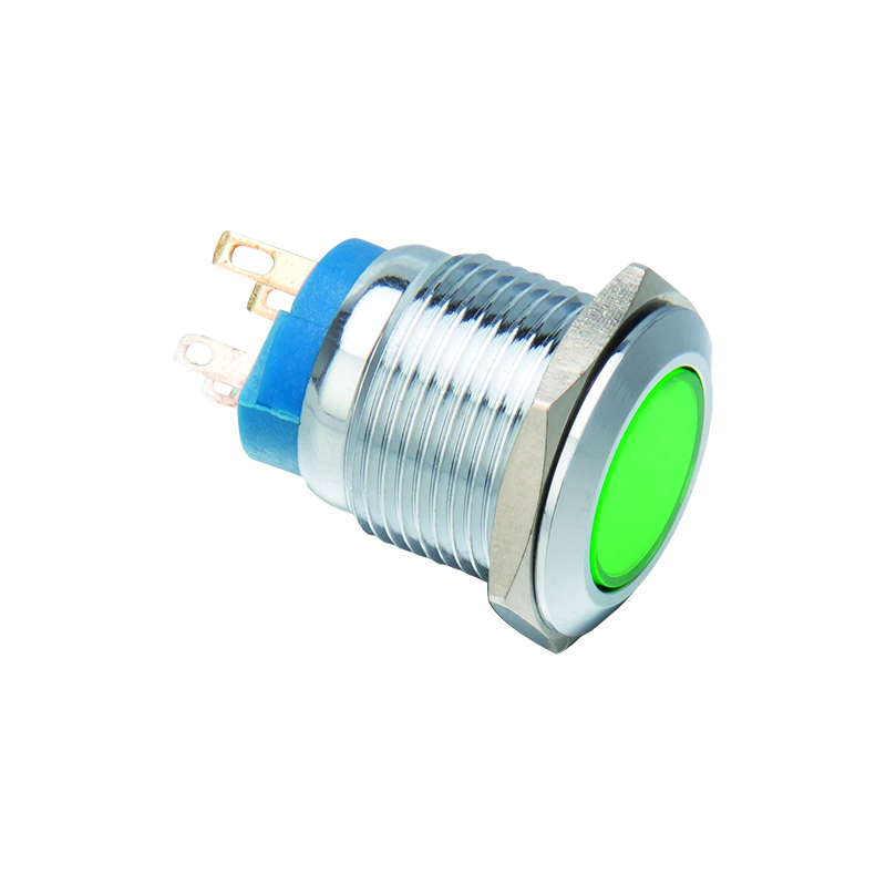 Signal Indicator Lamp (1)