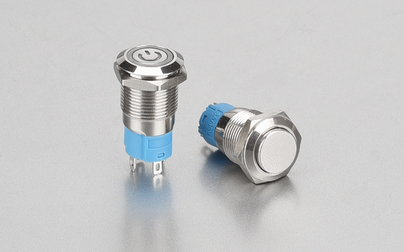 Anti-Vandal Pushbutton Switches 12A2 Series