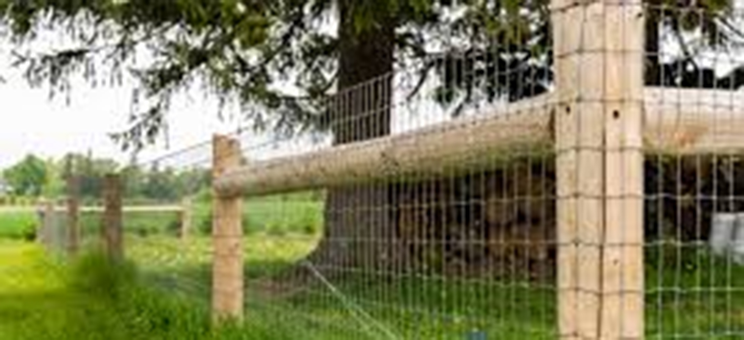 Application Cases of Field Fence