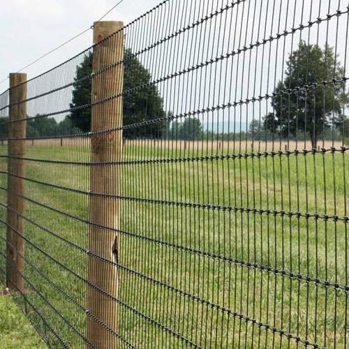 Long Veld Span Gate Cattle on Farm Field Fence Horse Sheep Sports Game Wire Fence