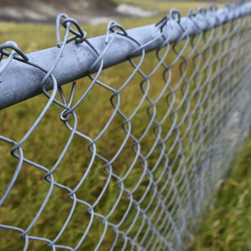 Galvanized Chain Link Fence