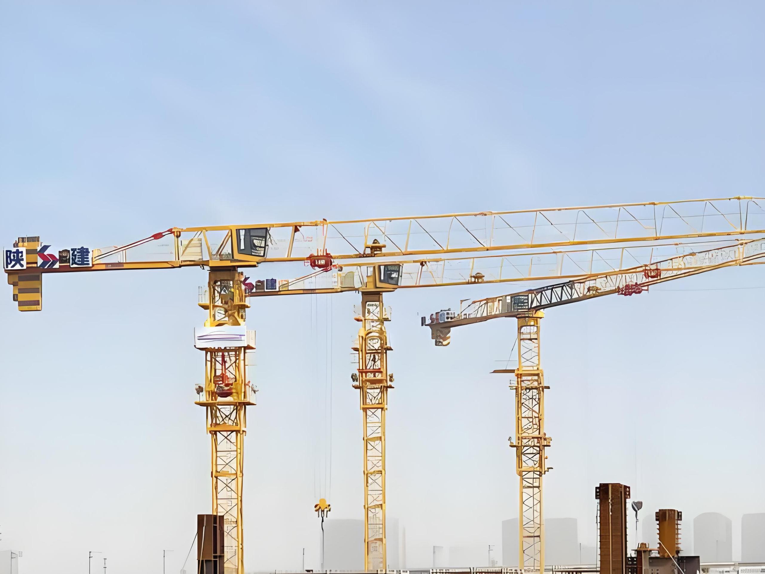 Luffing Tower Crane (9)
