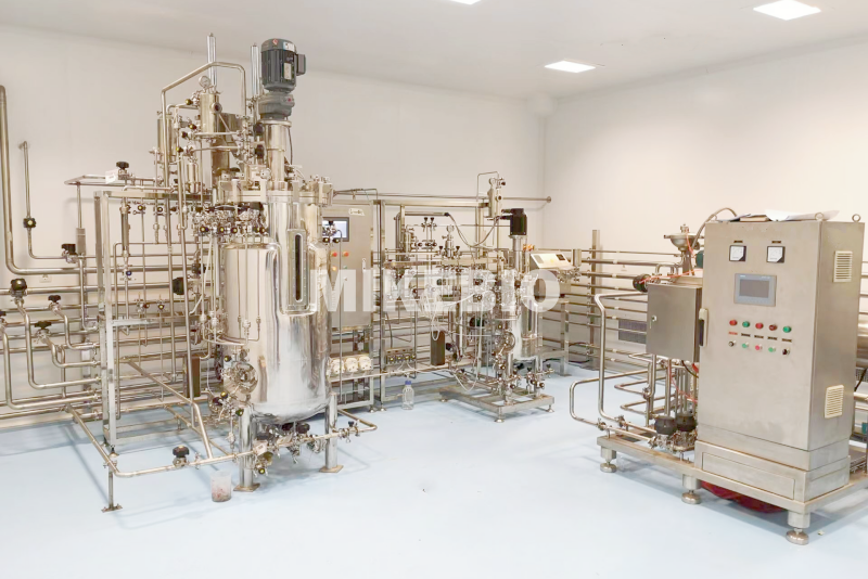 30L-300L Double connected automatic stainless steel fermenter