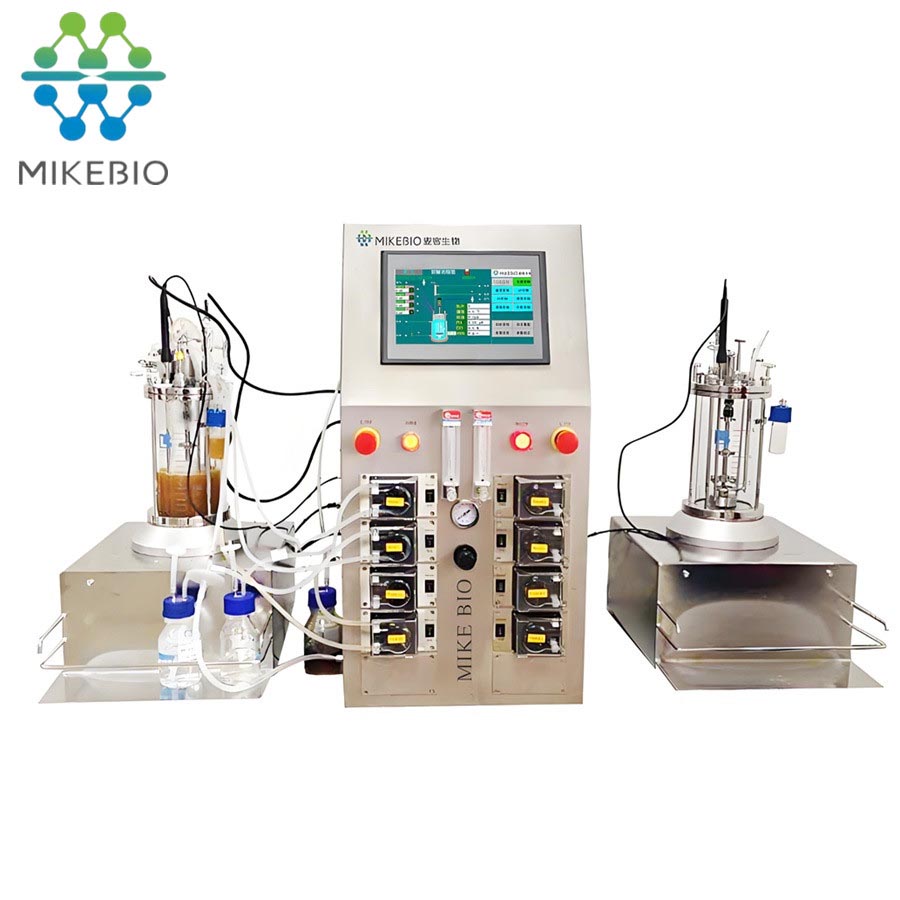 3L-10L Automatic control Double Connected Fermenter with Two Glass Tanks