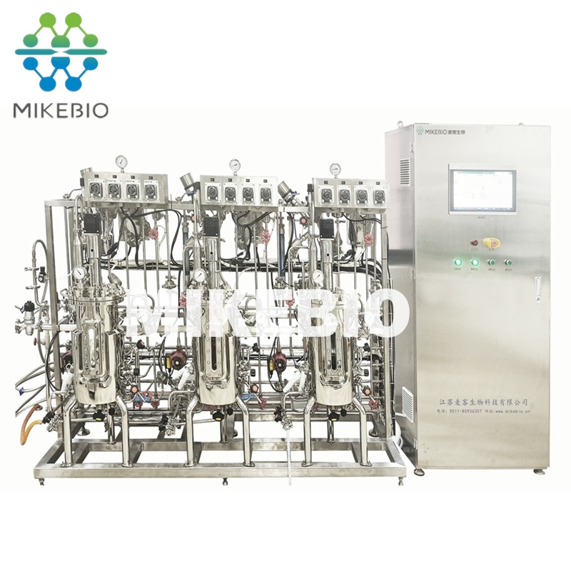 Efficient Advanced control Parallel stainless steel fermenter with Multi-tank Design