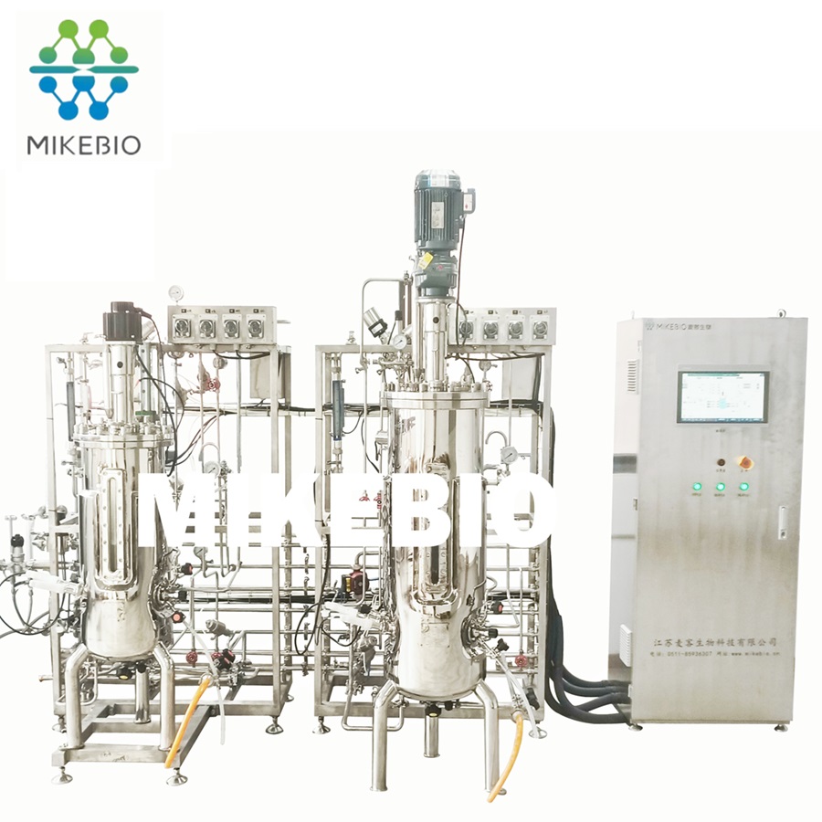 Flexible Capacity Multiple Fermentation Two-stage Three-stage Stainless Steel Fermenter
